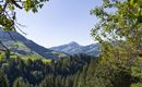 Herrenlehen_Brandseite_22_Kirchberg_Ausblick