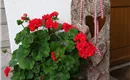 Herzbrett mit Blumen 2475x3300