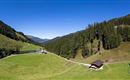 Eine weitläufige grüne Landschaft mit sanften Hügeln und Bäumen. Im Hintergrund sind kleine Hütten und ein klarer blauer Himmel zu sehen.
Chalet Heualm Kelchsau Kitzbüheler Alpen
