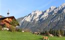 Hirschbichlhof mit Wilder Kaiser