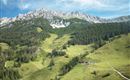 Hofeigene Alm