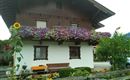 IMG_20180811_181637 (1)