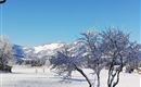 IMG_20181213_111229