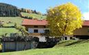 IMG_20191015_133028