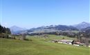 IMG_20200328_114612