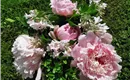 IMG_20200602_100714