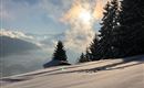 IMG-20210116-WA0004