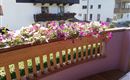 IMG_20210626_124706