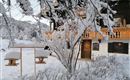 A snow-covered house surrounded by frosty trees and bushes. In the foreground, there are bird feeders.