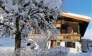 A cozy wooden house in the snow with a snow-covered tree in the foreground. The sky is clear and blue.