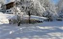 A snowy landscape with a tree covered in snow. In the background, there is a house and the sky is clear and blue.
