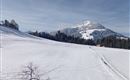 IMG_20230228_094914_650