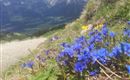 IMG_20240520_133400