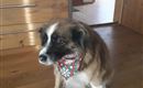 IMG-20241219-WA0004