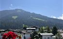 IMG_4522