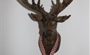 A mounted deer antler head, adorned with a heart-shaped wooden plaque. The plaque bears the inscription “Moin” and is decorated with a checkered ribbon.