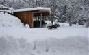 A snowy landscape with a wooden shed in the background. A dog is running through the deep snow.