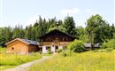 IMG_9849 (Large)