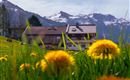 Kainrathenhof Sommer