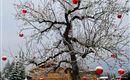 Ein kahler Baum steht im Schnee und ist mit roten Weihnachtsbaumkugeln dekoriert. Im Hintergrund sind vier Häuser und eine Winterlandschaft zu sehen.