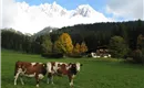 Kalter Morgen