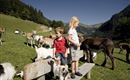 KAM_000702_zwei-Kinder-stehen-auf-einer-Sitzbank_F