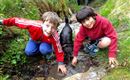 Kinder mit Hund