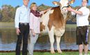 A couple stands next to a cow in front of a picturesque backdrop with water and trees. The people seem proud and satisfied with the animal.
