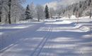A snowy landscape with ski tracks in the snow. In the background, snow-covered trees stand under a clear sky.