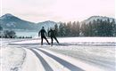 Two skiers glide on a snow-covered slope. In the background, mountains and coniferous trees can be seen.