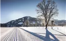 Langlaufen in Westendorf