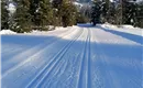 Langlaufloipe direkt vor dem Haus