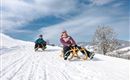 Zwei Personen rodeln auf einem schneebedeckten Hang. Der Himmel ist klar und blau, und die Landschaft ist winterlich schön.