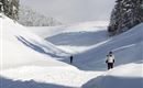 Loipe u Wanderweg Richtung Brennhütte