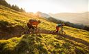 Mountainbike Träume