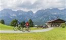 Two cyclists ride on a path through a green landscape. In the background, there are majestic mountains and a traditional mountain house visible.