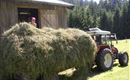 Natur und Alm 072