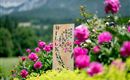 Oberachenhof_Oberachen_12_Ellmau_Garten_Detail_1