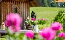 Oberachenhof_Oberachen_12_Ellmau_Garten_Detail