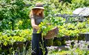 Oberachenhof_Oberachen_12_Ellmau_Gemuesegarten_Hei