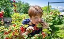 Oberachenhof_Oberachen_12_Ellmau_Gemuesegarten_Leo