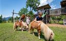 Oberachenhof_Oberachen_12_Ellmau_Spielplatz_Ponys