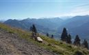 Panorama-2