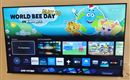 Een televisie met een kleurrijk scherm dat de "Wereldbijendag" promoot. Er zijn verschillende apps en aanbevelingen op de gebruikersinterface.