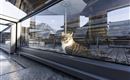 reell-kommunikationsdesign-NASCHBERGHOF-klein-288
