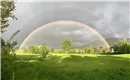 Regenbogen