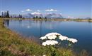Salvensee