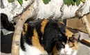 SAM_0354