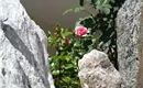 SAM_1539