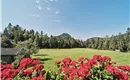 Scheffau_Bärnstatt_Aussicht_WilderKaiser